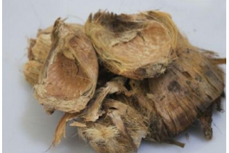 ��Ƥ�Ĺ�Ч������ ��Ƥ��ʳ�÷���