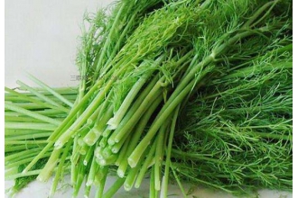 ����˵Ĺ�Ч������ ����˵�ʳ�÷���