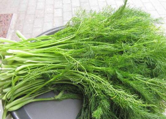 С����Ĺ�Ч������ С����ĸ�����