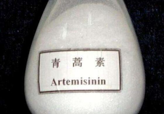 �����������صĹ�Ч������