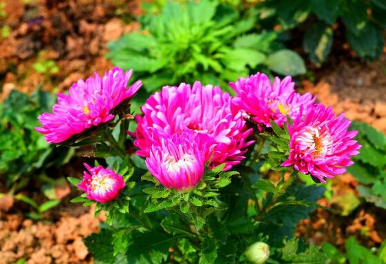 ��ջ������ݲ��� ��ջ�����ˮ�ȵĹ�Ч