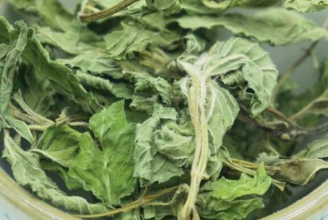 ����Ҷ��Ĺ�Ч�����ü�ҩ�ü�ֵ