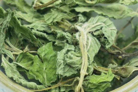 ����Ҷ��Ĺ�Ч������