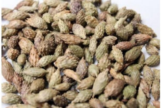 ���Զ��ӵĹ�Ч������ ���Զ��ӵ�ҩ�ü�ֵ