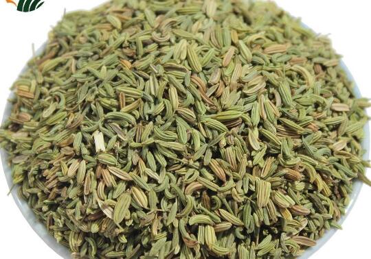 С�����ѵĽ��ɼ�������