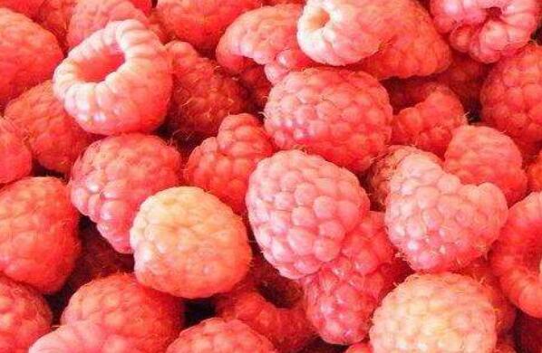 �䶳��ݮ��ô�� �䶳��ݮ��ʳ�÷���