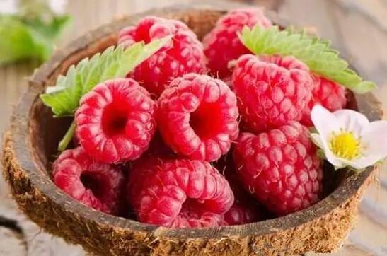 ��ݮ���г�����ô��ϴ ��ݮ����ĳ�����ô��ϴ