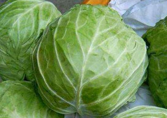 ���Ĳ˵Ĺ�Ч�����ü�����