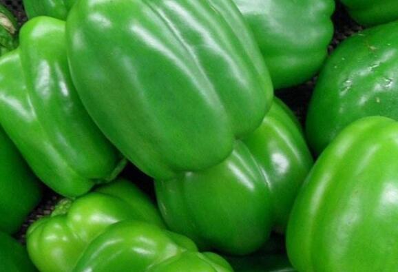 �𽷵Ĺ�Ч������ �𽷵�ʳ�÷���