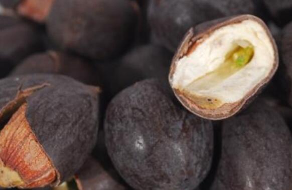 ���ӿ��ݲ�Ĺ�Ч������