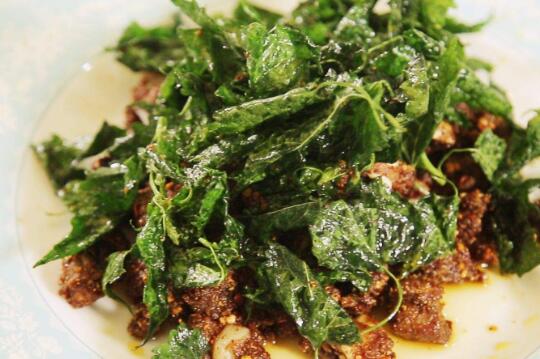 ޽�����Щ�˲��ʺϳ� ��޽��˵Ļ���