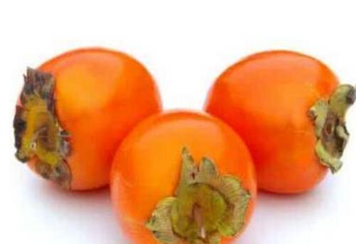 ������������ô�� �����ӵ������̳�