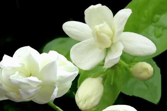 ����������ô����