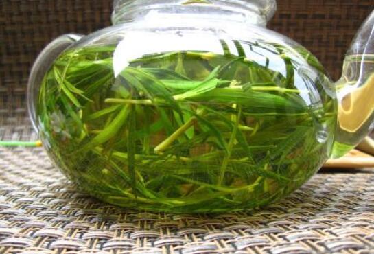 ��Ҷ����ô���������� ��Ҷ����ô��ժ������