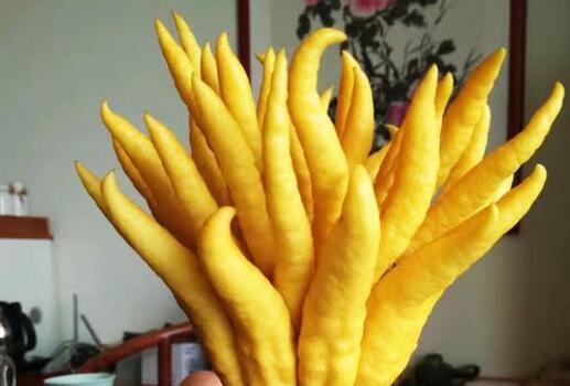 ���ָ���ô�ݾ� ���ָ��ݾƵĹ�Ч