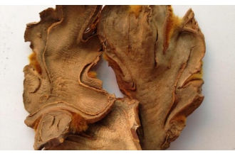 �������˹��������� �����Ĺ�Ч