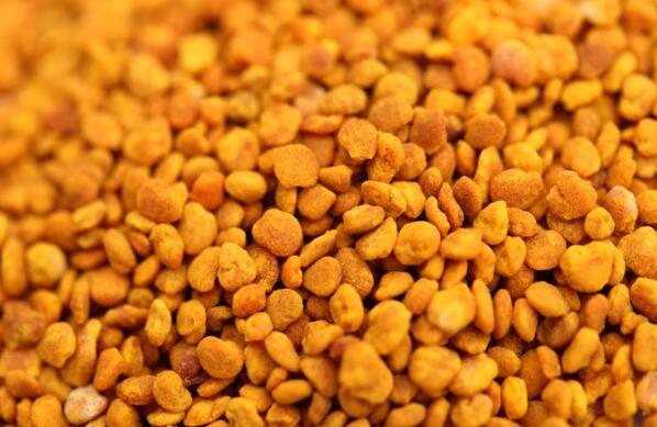 茶花粉的功效与作用茶花粉的副作用 蜂蜜百科 做法 功效与作用 营养价值www Asqxzs Com