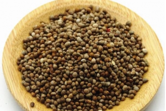 �����ӵĹ�Ч�����ü�ҩ�ü�ֵ