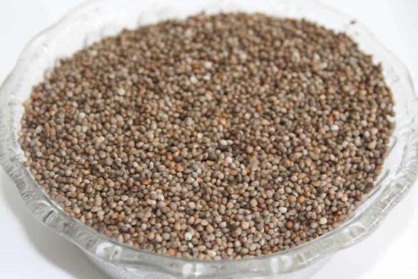 ����������ȥƤ ��������ô����