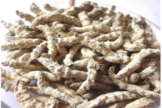 �׽��ϵĹ�Ч�����ü�ҩ�ü�ֵ