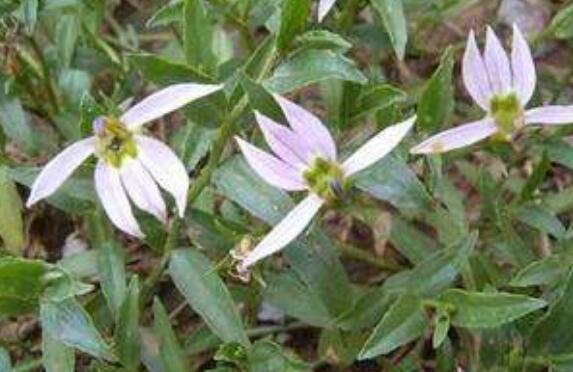 ������ݵĹ�Ч������