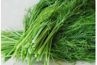 ��Щ�˲��ʺϳ������ ������˵ĸ����������