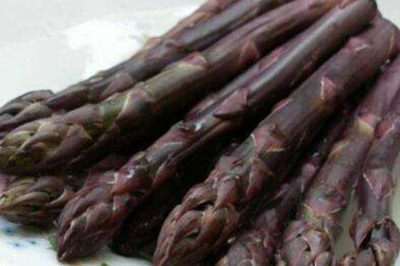 紫芦笋茶的功效与作用