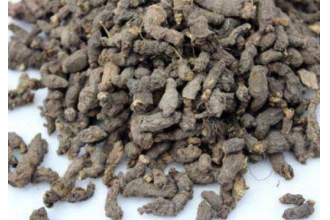 ����ӵĹ�Ч������ ����ӵ��÷�