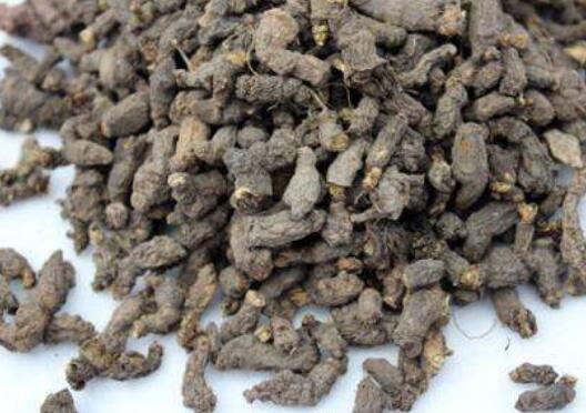 ����ӵĹ�Ч������ ����ӵ��÷�