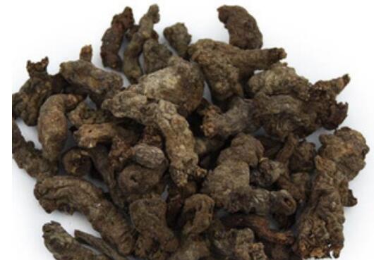 ����ӵĹ�Ч������ ����ӵ��÷�