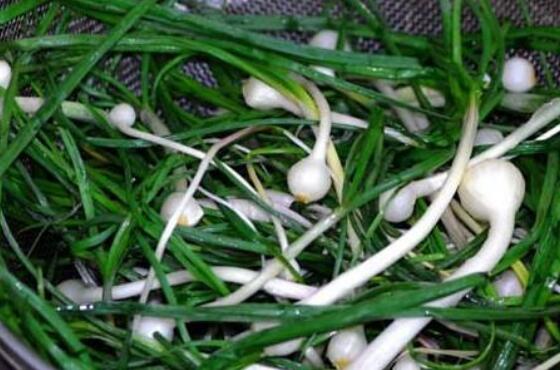 �°���ޯ����ʲô���� ޯ�׵Ĺ�Ч