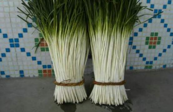 �°���ޯ����ʲô���� ޯ�׵Ĺ�Ч