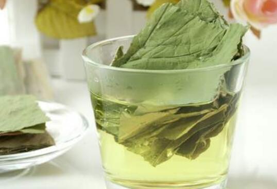 ��Ҷ���ʲ�Ĺ�Ч�����ü�����