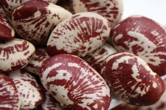 �����Ĺ�Ч�����ü�����