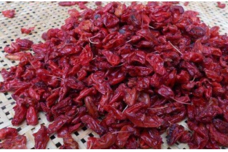 ��ɽ���������������� ������Ĺ�Ч