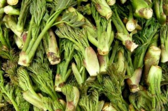 ����ѿ�Ĺ�Ч������