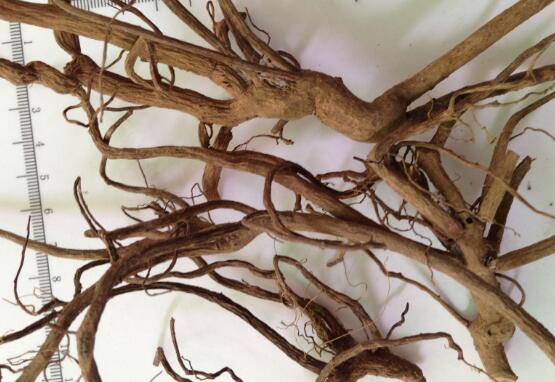 С��ɡ���Ĺ�Ч������
