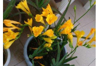 ��ˮ������ֳ������ע������