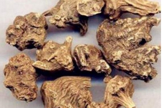 ��ţ����ô�� ��ţ���ĳԷ���ȫ