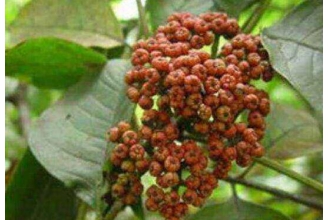 �����ǵĹ�Ч������ ��������ô���