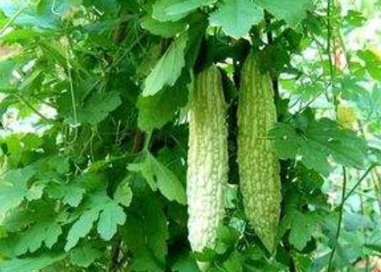 ��ϸ���ˮ�Ĺ�Ч������