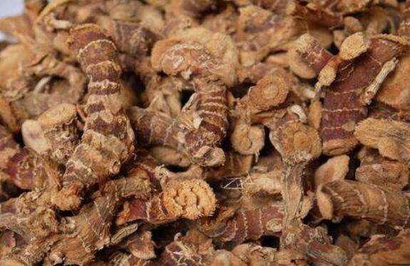 ���������������ʲô���� �����Ĺ�Ч