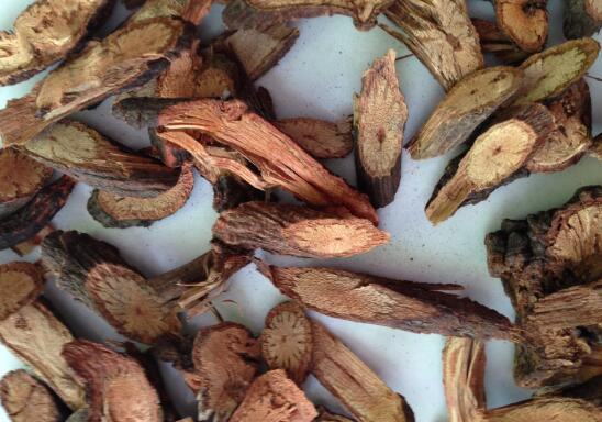 ����������ˮ�ȵĹ�Ч������ ����������ˮ����ô��