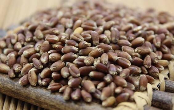 ��������ô���� ��������������̳�