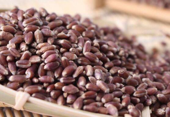 ��������ô���� ��������������̳�