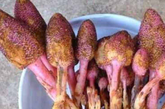 ���˳��˻ش�����ʲô��Ч��ô�