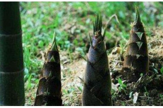 �����ʲô�� ����ǵ�����