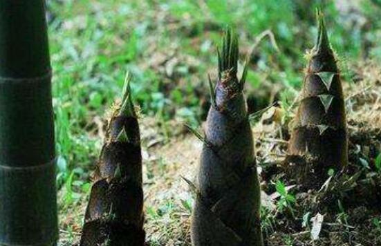 �����ʲô�� ����ǵ�����