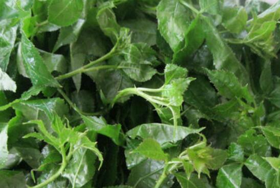 ���ʴ����Ҷ�Ĺ�Ч������