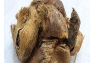 ���Ӻʹ�Ƥ������